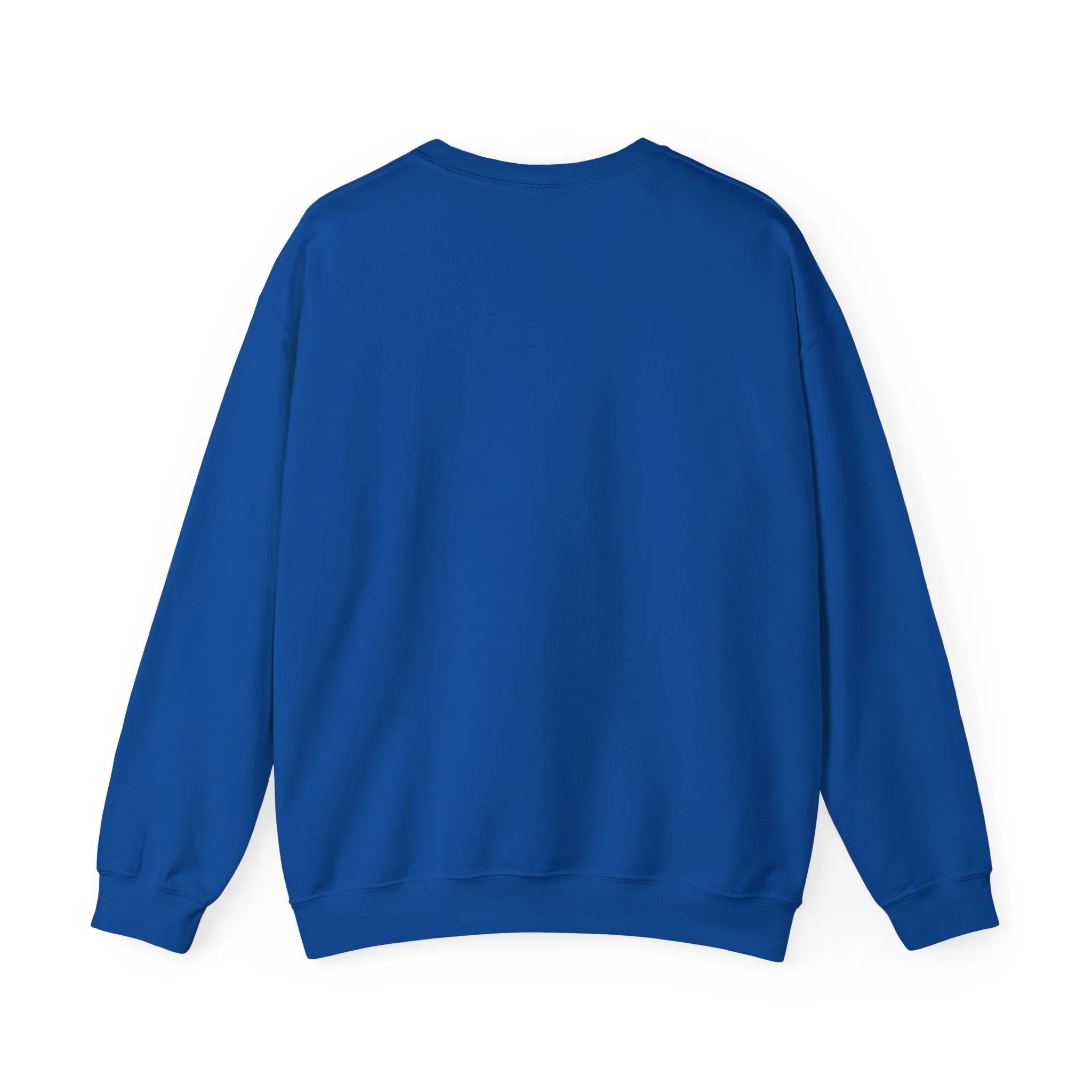 Homebody Sweatshirt, Homebody Shirt, Cozy Sweatshirt, Graphic Sweatshirt, Slouchy Sweatshirt, Cute Sweatshirt, Trendy Sweatshirt, Fun Shirt