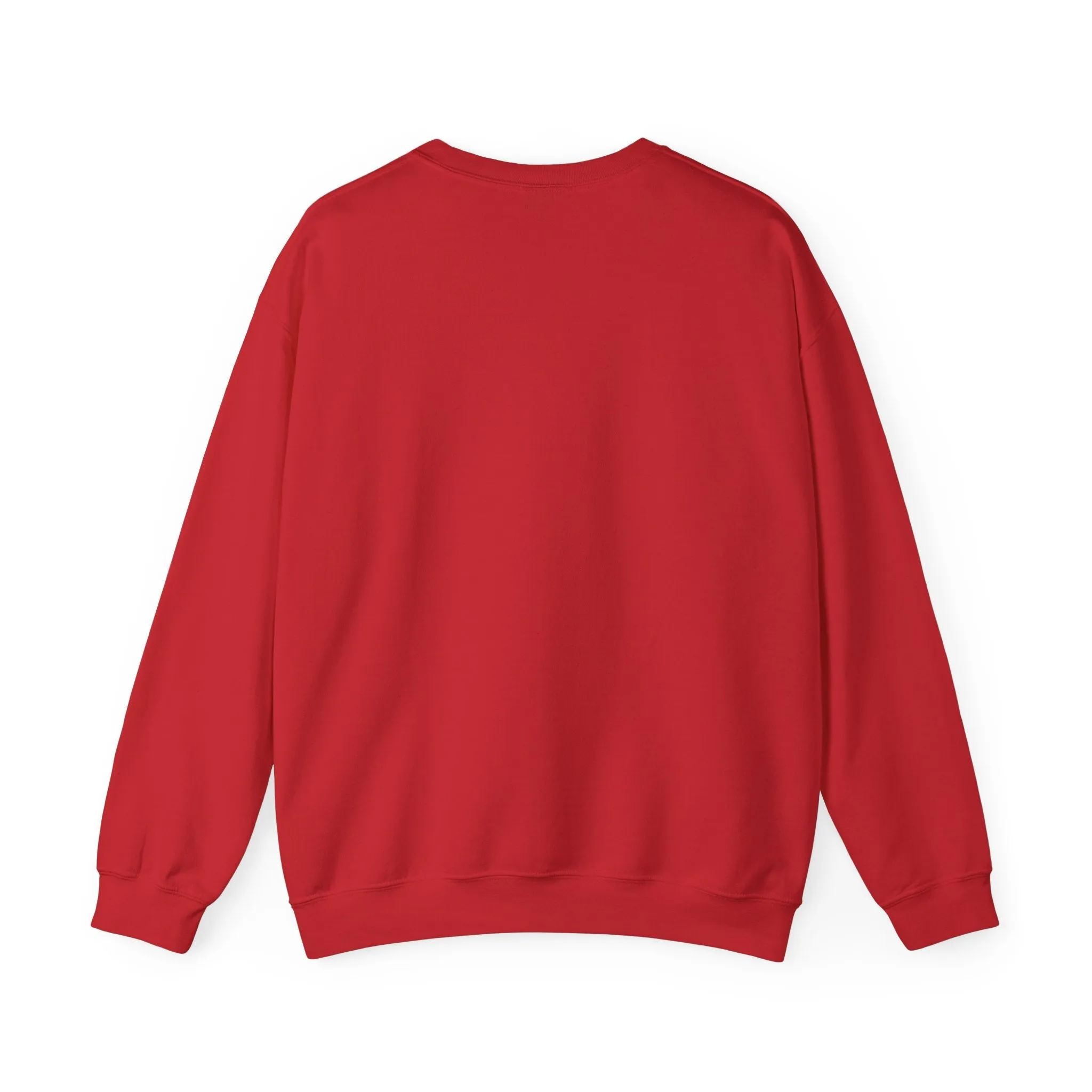 Homebody Sweatshirt, Homebody Shirt, Cozy Sweatshirt, Graphic Sweatshirt, Slouchy Sweatshirt, Cute Sweatshirt, Trendy Sweatshirt, Fun Shirt