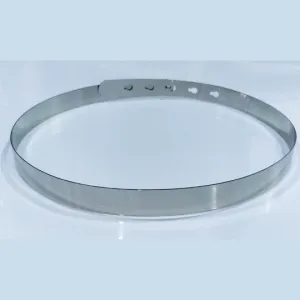 Silver Metallic Saree Belt